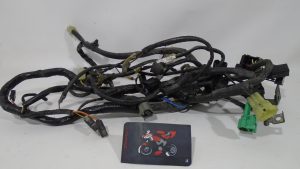 INSTALACION ELECTRICA PRINCIPAL SUZUKI BANDIT S 650 2006