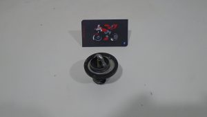 TERMOSTATO SUZUKI GSR 600 06-08