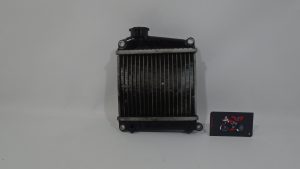RADIADOR DE AGUA HONDA LEAD 110 2009