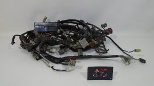 INSTALACION ELECTRICA PRINCIPAL HONDA CBR 600RR 2007/2012